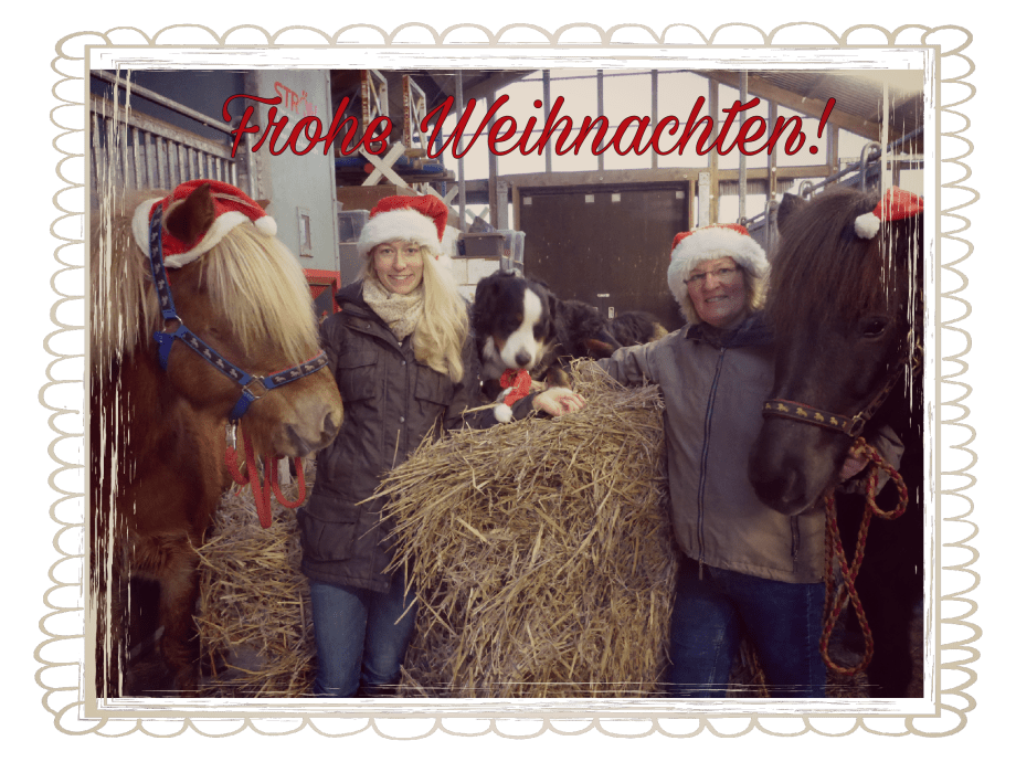 picsart_12-25-12-11-37